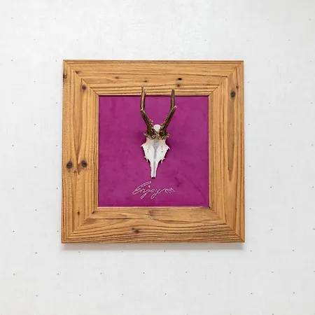 Enjoy The Alps Φλαχάου